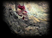 Bonne Terre Mine 99 42 dynamite